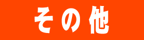 ̑